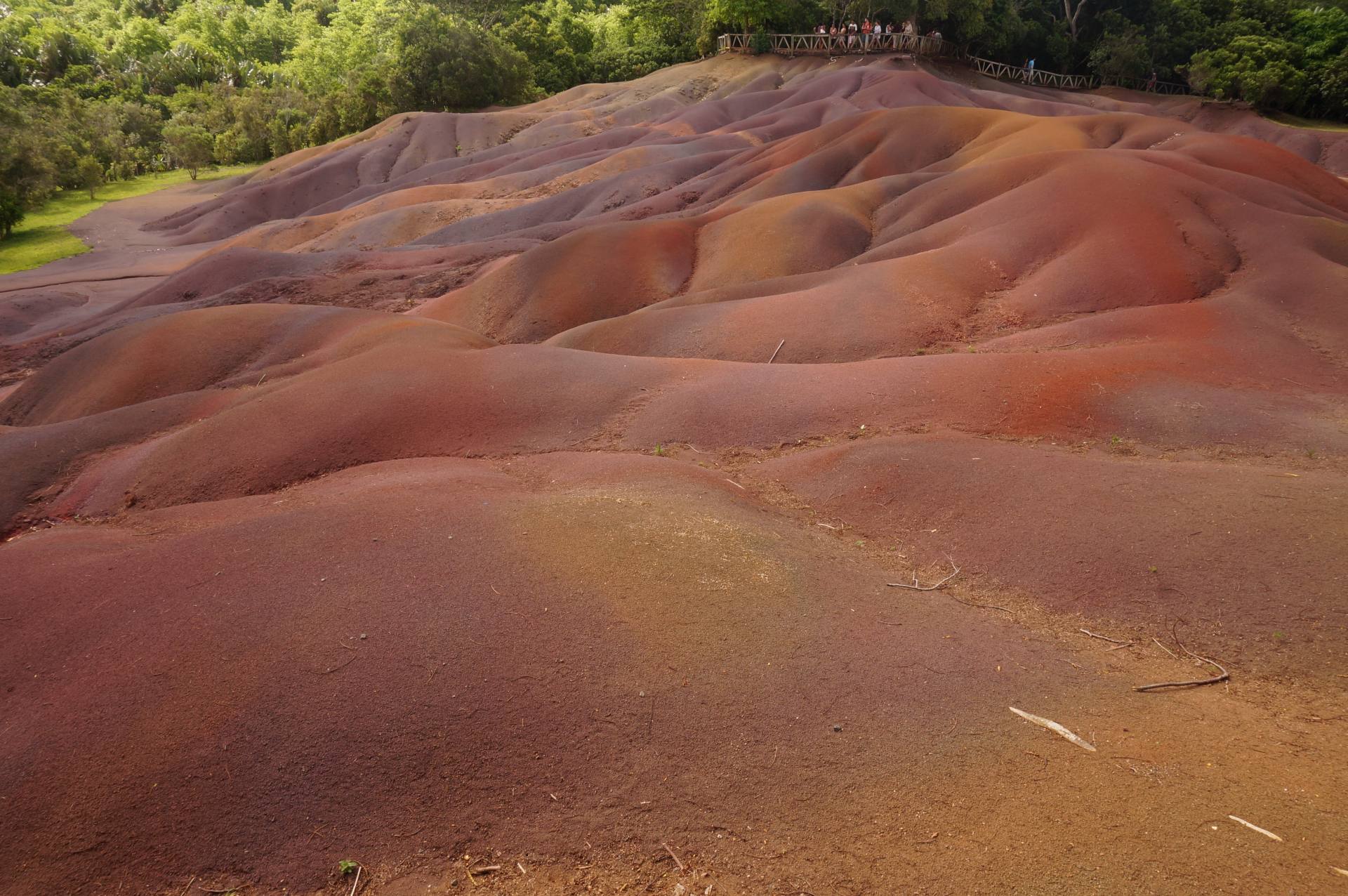 Chamarel Et La Terre Des Sept Couleurs Juste Maudinette